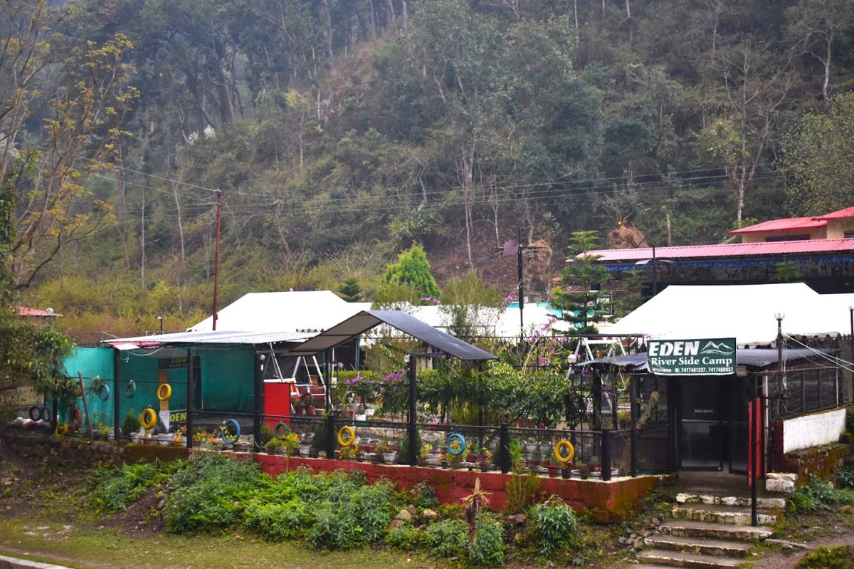 Camp reception area with garden decor