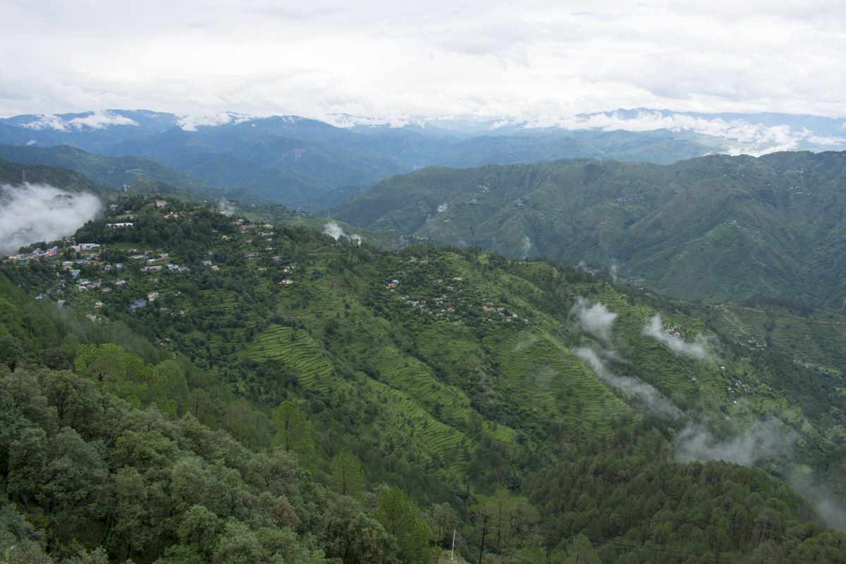 Terraced green hillsides overlooking the Lansdowne valley